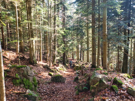 20220205202140-f3034586